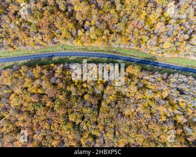 Forest road with white car during Autumn. Aerial view road crossing a yellow and gold deciduous trees forest, Autumn Stock Photo