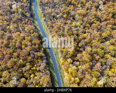 Forest road with white car during Autumn. Aerial view road crossing a yellow and gold deciduous trees forest, Autumn Stock Photo