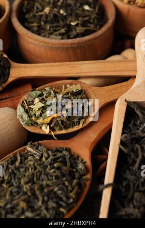 Concept of cooking tea with different types of tea, close up Stock Photo