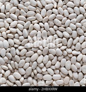 Seamless texture of background of white beans. Top view Stock Photo