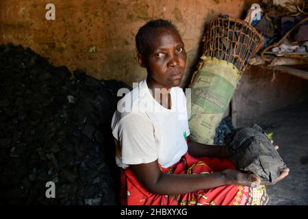 ZAMBIA, Sinazongwe District, illegal deforestation, poor villagers sell charcoal to survive / SAMBIA, Sinazongwe Distrikt, illegale Abholzung, arme Dorfbewohner holzen Wälder ab und leben vom Verkauf von Holzkohle Stock Photo