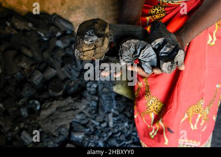 ZAMBIA, Sinazongwe District, illegal deforestation, poor villagers sell charcoal to survive / SAMBIA, Sinazongwe Distrikt, illegale Abholzung, arme Dorfbewohner holzen Wälder ab und leben vom Verkauf von Holzkohle Stock Photo