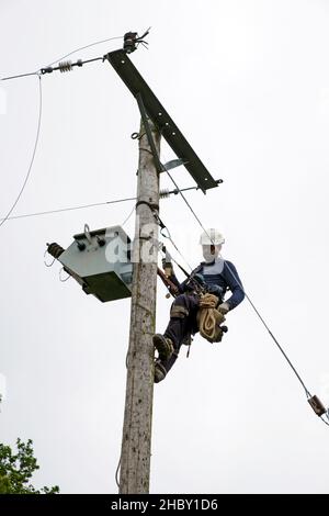 Power worker linesman replacing old utility pole and connecting electricity equipment cables on rural property in Wales UK Great Britain Stock Photo