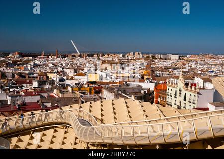 The ficus of the Cristo de Burgos square, on October 13, 2023, in ...