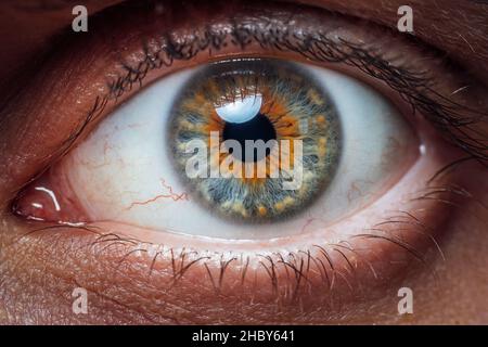 Beautiful macro photo of man's eye. Close up of blue brown eye with capillaries. Macro image of human eye. Stock Photo