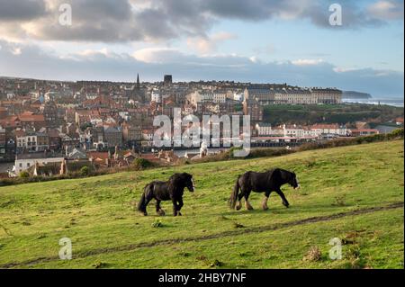 View over the harbour to the West Cliff, Whitby, North Yorkshire, UK. Stock Photo