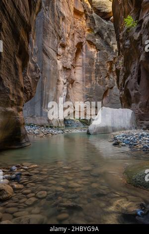 Iconic House Rock sits in the Narrows section of the North Fork Virgin River, in Zion National Park, Utah. Stock Photo