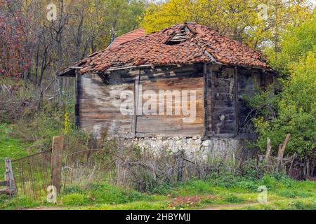 Caved in Roof Shingles at Abandoned Wooden Cabin Stock Photo