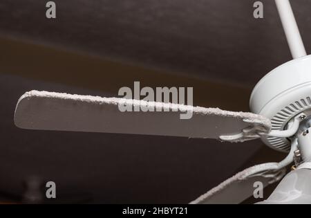 Fan blade on ceiling fan and light fixture in need of cleaning to remove dust and fluff along the edge Stock Photo