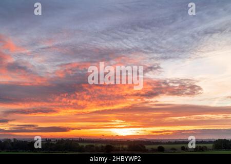 Dawn landscape of fields and rows of trees in Kent, England. Orange sky on the horizon with layers of cloud underlit by the hidden rising sun. Stock Photo