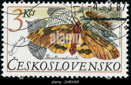 POLTAVA, UKRAINE - Desember 22, 2021. Vintage stamp printed in Czechoslovakia circa 1987 shows Arctia matronula Stock Photo