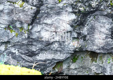 A wall of an abandoned marble quarry covered with moss. Ruskeala Mountain Park, Karelia Stock Photo