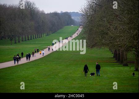 Windsor, Berkshire, UK. 22nd December, 2021. People out walking on the Long Walk in Windsor today. Credit: Maureen McLean/Alamy