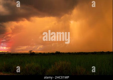 Arizona grassland with dramatic monsoon sky at sunset Stock Photo