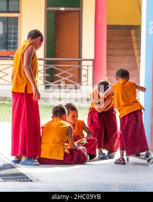 A young Buddhist monk rides a scooter at the Pema Tsal Sakya Monastery near Pokhara, Nepal. Stock Photo