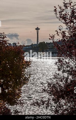 View of Space Needle in the distance across Lake Union from Gas Works Park in Seattle, Washington.  A seaplane is taking off or landing. Stock Photo