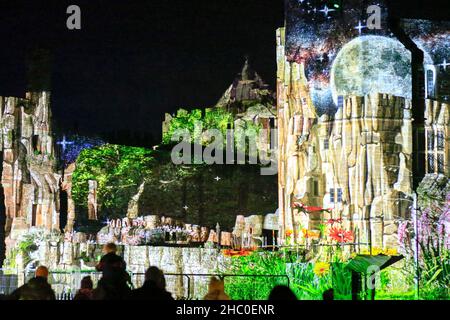 Cowdray Park, Midhurst. 22nd December 2021. An illuminated, after dark, festive light trail held in the grounds of the historic Cowdray estate, in the heart of the stunning South Downs National Park. Inspired by the theme ‘Joy' the work created by a select band of international artists casts the landscape in a new light, illuminating the nights sky, with millions of sparkling lights, interactive installations and joyful sounds. Credit: james jagger/Alamy Live News Stock Photo