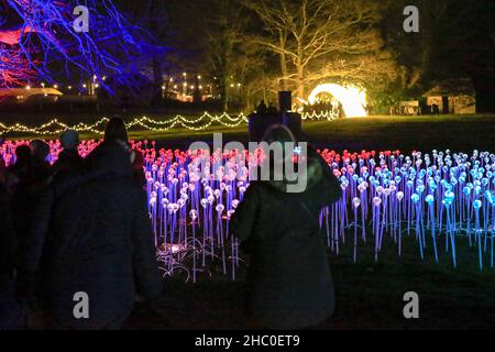 Cowdray Park, Midhurst. 22nd December 2021. An illuminated, after dark, festive light trail held in the grounds of the historic Cowdray estate, in the heart of the stunning South Downs National Park. Inspired by the theme ‘Joy' the work created by a select band of international artists casts the landscape in a new light, illuminating the nights sky, with millions of sparkling lights, interactive installations and joyful sounds. Credit: james jagger/Alamy Live News Stock Photo