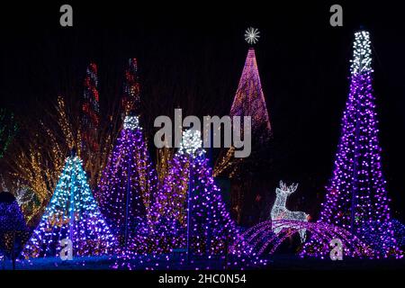 Illuminated Christmas Trees at Winter Lights event at the North Carolina Arboretum - Asheville, North Carolina, USA Stock Photo
