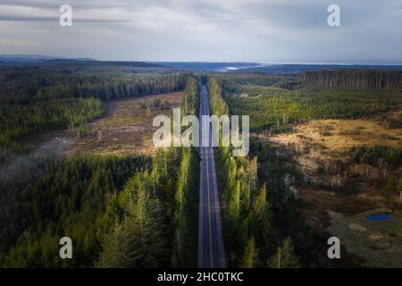 Highway 101 in Oregon, aerial view of logging clearcut area.  Stock Photo