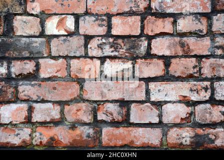 old bricks on an historic building create a rustic textured background Stock Photo