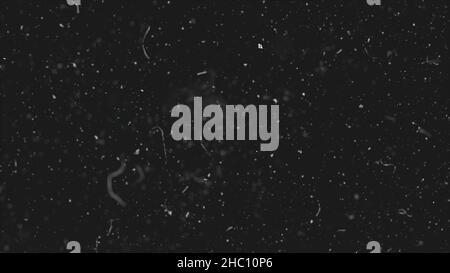 White dust particles moving slowly in space on black background ...