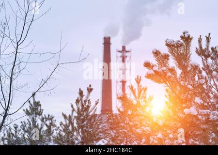 Two industrial chimneys smoking with smoke against background pine winter forest and bright orange setting sun Stock Photo