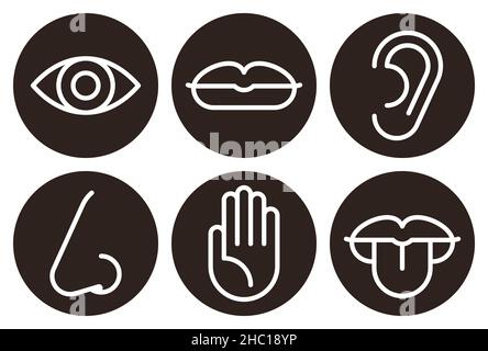 Sensory organs icon set isolated on white background Stock Photo