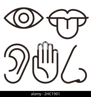 Eye, ear, lips, nose and hand - five senses of human nervous system. Sensory organs icon set isolated on white background Stock Photo