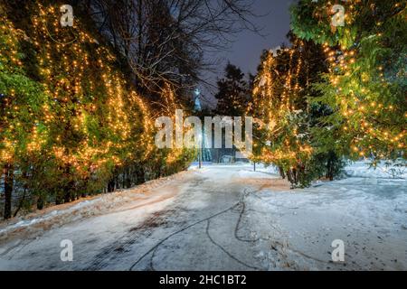 Winter park at night with christmas decorations, glowing lanterns, pavement covered with snow and trees. Stock Photo