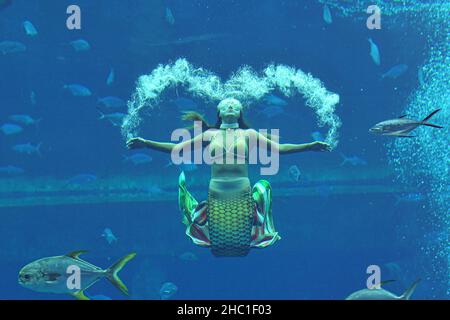 Haikou, China's Hainan Province. 21st Dec, 2021. A contestant participates in a mermaid contest in Sanya, south China's Hainan Province, Dec. 21, 2021. Over 40 contestants participated in the contest which kicked off Tuesday. Credit: Pu Xiaoxu/Xinhua/Alamy Live News Stock Photo