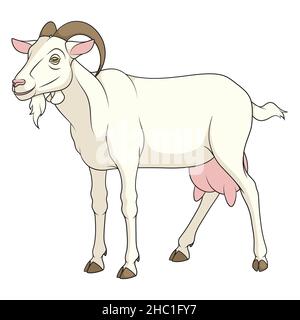 Color image with a white cash goat. Isolated vector object on a white background. Stock Vector