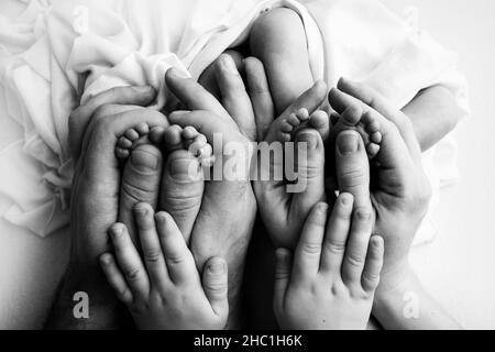 Feet of newborn twins. Parents, father mother older brother hold newborn twins  Stock Photo
