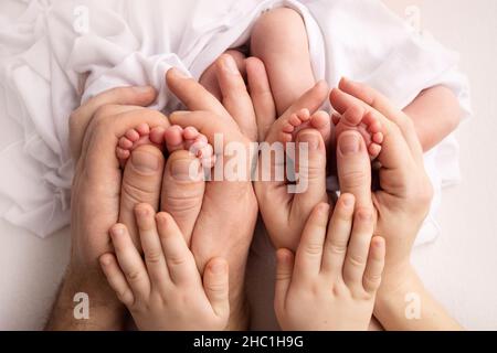 Feet of newborn twins. Parents, father mother brother, sister hold newborn twins Stock Photo