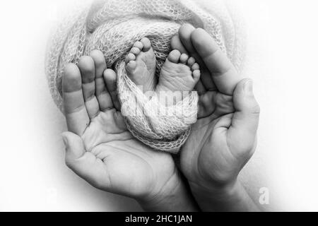 The palms of the father, the mother are holding the foot of the newborn baby.  Stock Photo