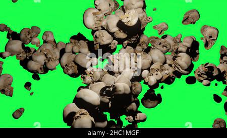 3d illustration - Human skulls  flying on green background Stock Photo