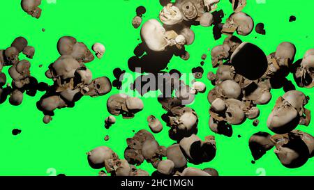 3d illustration - Human skulls  flying on green background Stock Photo