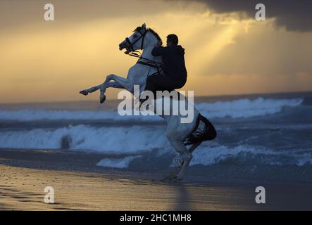 (211217) -- GAZA, Dec. 17, 2021 (Xinhua) -- A Palestinian man rides a horse on a beach at sunset in Gaza City, on Dec. 17, 2021. (Photo by Rizek Abdeljawad/Xinhua) Stock Photo