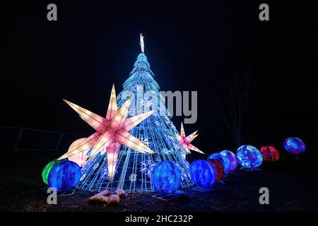 Illuminated Christmas tree and decorations in Lightopia, London Stock Photo