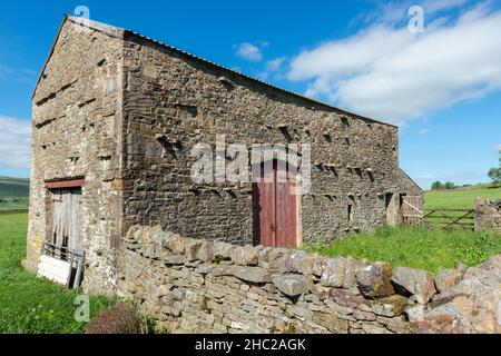 A traditional stone built field barn standing in green meadows on a sunny spring afternoon in Wensleydale, Yorkshire Dales Stock Photo