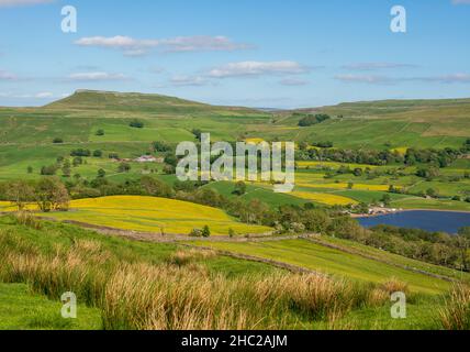 Countryside view across Semer Water and Raydale looking towards Addlebrough Hill in the Yorkshire Dales National Park Stock Photo