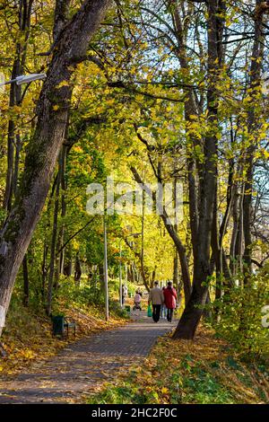 Белкинский парк обнинск фото