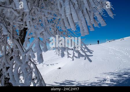 snow landscape with human traces and signs Stock Photo - Alamy