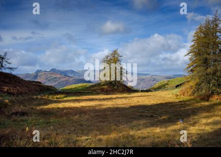 The Langdale Pikes seen from Iron Keld, Cumbria, England. Stock Photo