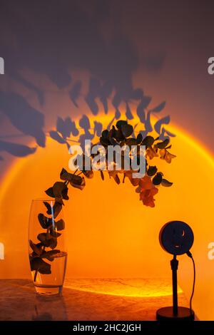 Projecting sunset lamp illuminates a glass vase with a branch of Eucalyptus cinerea. Stock Photo