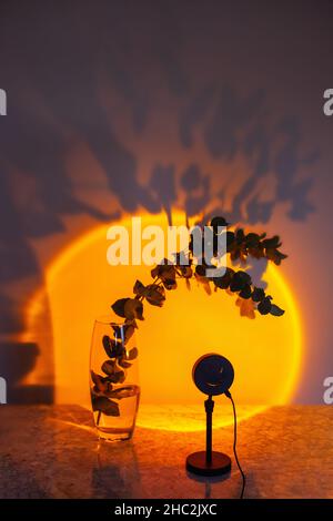Projecting sunset lamp illuminates a glass vase with a branch of Eucalyptus cinerea. Stock Photo
