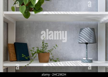 Shelf with household items. Lamp, books and houseplants on the shelf. Cozy interior Stock Photo