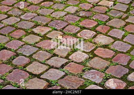 Cobblestone with moss texture background Stock Photo