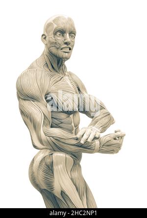Premium Vector | Bodybuilder muscle man fitness posing black and white  isolated hand drawing vector illustration image