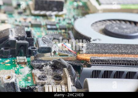 Dust on electronic parts in a laptop or computer close-up. Stock Photo
